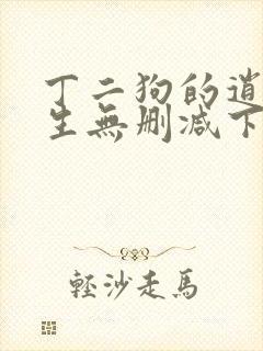 丁二狗的逍遥人生无删减下载