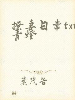 撩妻日常txt青灯封面