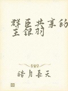 群臣共享的小公主银羽