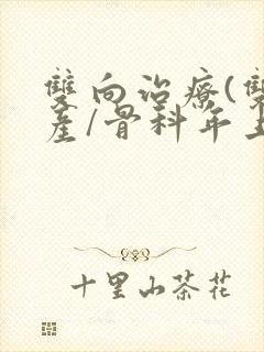 双向治疗(双/产/骨科年上)
