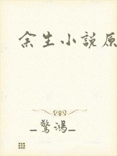 余生小说原著