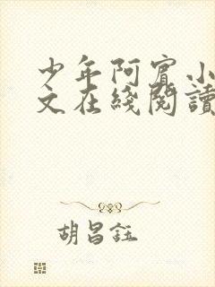 少年阿宾小说全文在线阅读封面