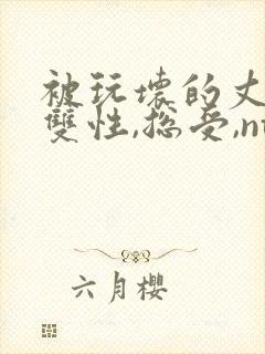 被玩坏的丈夫(双性,总受,ntr)