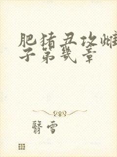 肥猪丑攻雌堕生子第几章