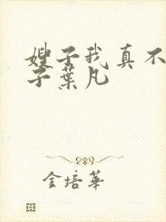 嫂子我真不是傻子叶凡