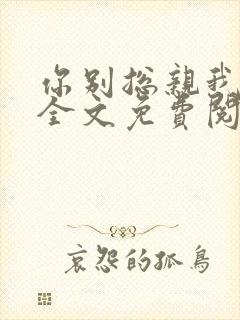 你别总亲我小说全文免费阅读