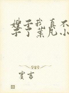 嫂子我真不是傻子了叶凡小说.txt