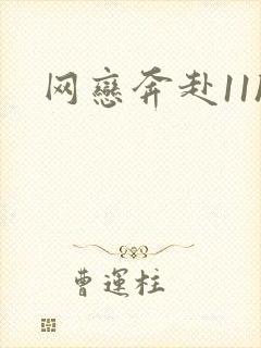 网恋奔赴11h封面