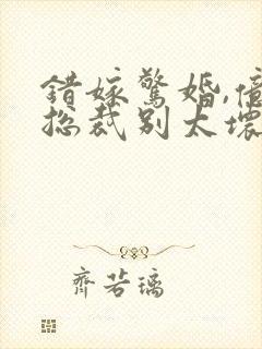 错嫁惊婚,亿万总裁别太坏