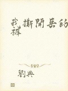 我撕开岳的丁字裤封面