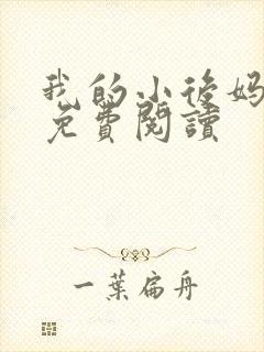 我的小后妈小说免费阅读封面