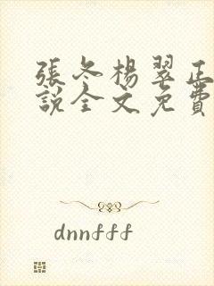 张冬杨翠正版小说全文免费读