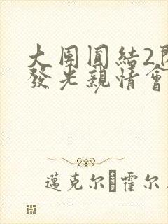 大团圆结2闪闪发光亲情会