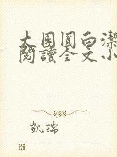 大团圆白洁免费阅读全文小说