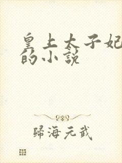 皇上太子妃沈音的小说