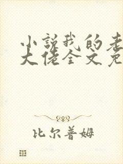 小说我的老公是大佬全文免费阅读