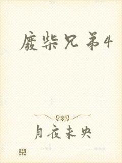 废柴兄弟4封面