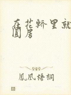 在花轿里就开始圆房