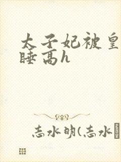 太子妃被皇上强睡高h封面