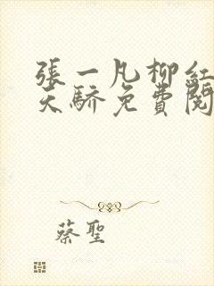 张一凡柳红官道天骄免费阅读笔趣阁