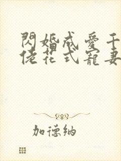 闪婚成爱千亿大佬花式宠妻99式免费阅读封面