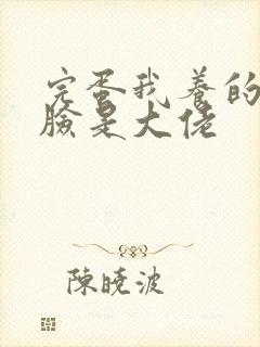 完蛋我养的小白脸是大佬