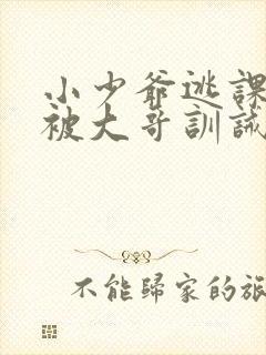 小少爷逃课打架被大哥训诫文