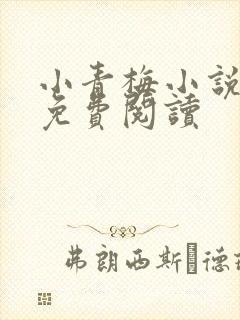 小青梅小说全文免费阅读