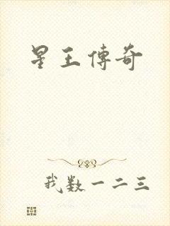 星王传奇封面