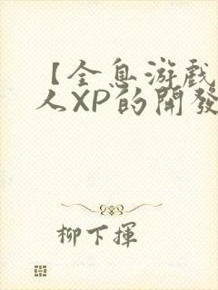 【全息游戏】美人XP的开发日常