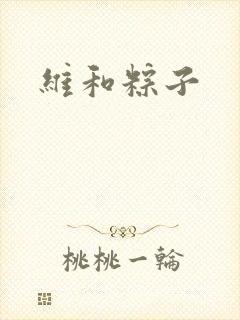 维和粽子