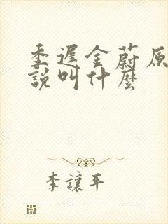 季迟金蔚原著小说叫什么