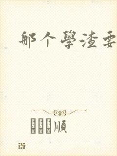 那个学渣要上天封面