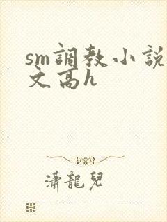 sm调教小说辣文高h封面