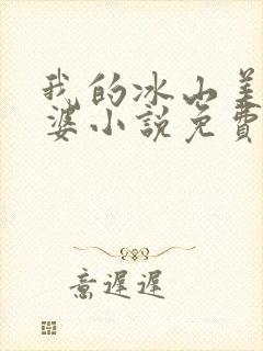 我的冰山美女老婆小说免费听书