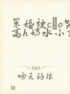军婚被cαo哭高h奶水小说