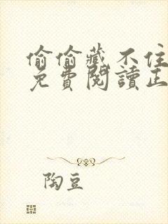 偷偷藏不住全文免费阅读正文