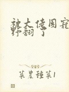被大佬团宠后我野翻 了