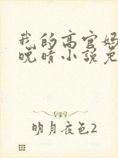 我的高官妈妈苏晚晴小说免费阅读