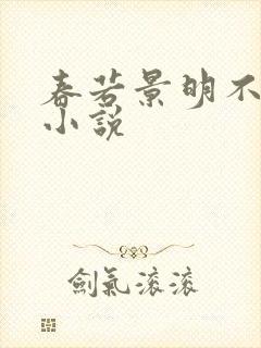 春若景明不相逢小说封面
