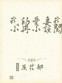我的爱妻我的父小冉小说阅读免费