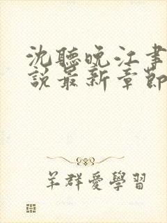 沈听晚江聿风小说最新章节封面
