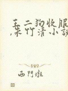 王二狗收服小舞,朱竹清小说封面