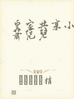 皇家共享小公主萧凭儿