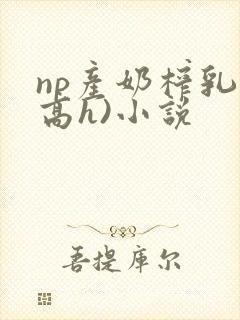 np产奶榨乳(高h)小说封面