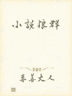 小说狼群