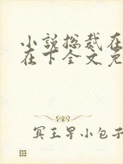 小说总裁在上我在下全文免费阅读