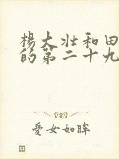 杨大壮和田桂花的第二十九封面