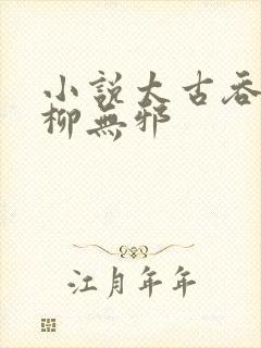 小说太古吞天诀柳无邪