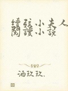 续弦小夫人全文阅读小说